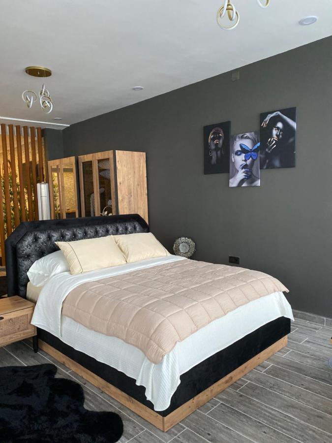 Fenix Loft Aparthotel