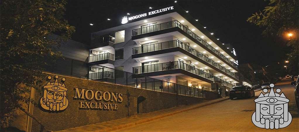 Mogons Exclusive