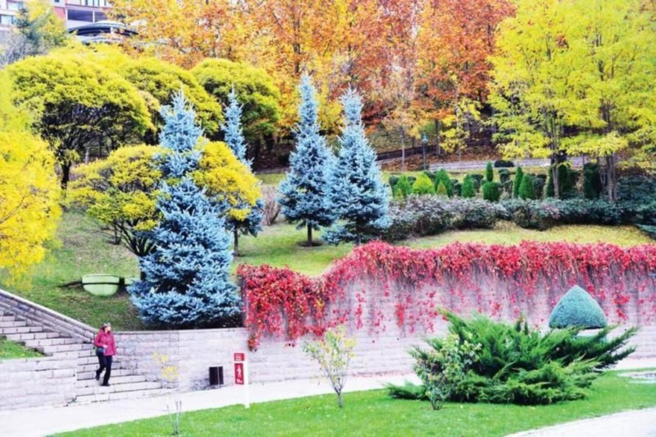 The Most Luxurious Apartment-the Flat New York Apartment Ankara