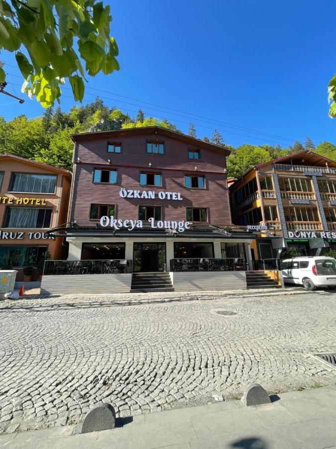 Ozkan 4* Uzungol