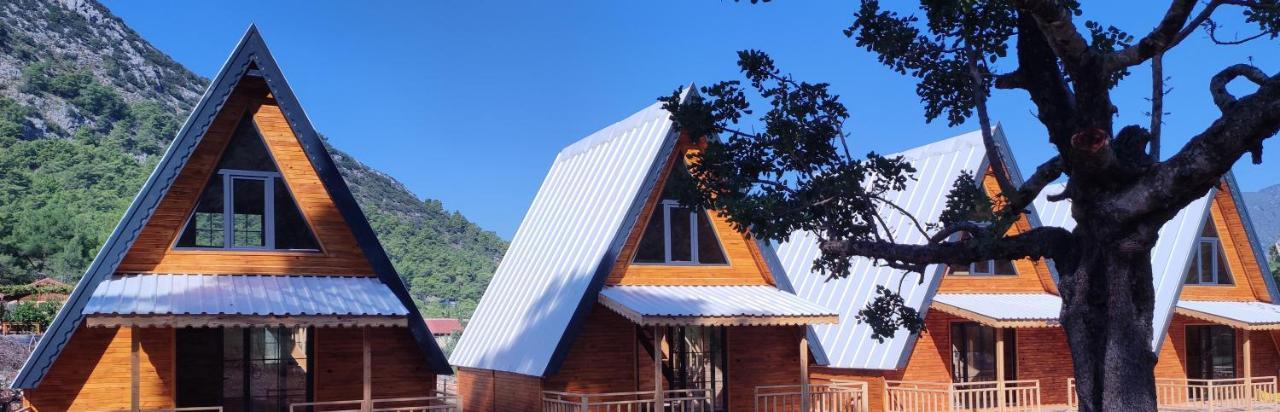 Aparthotel Lalin *