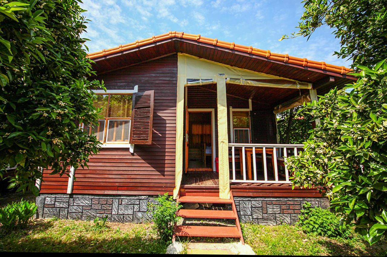 Three Islands Bed & Breakfast