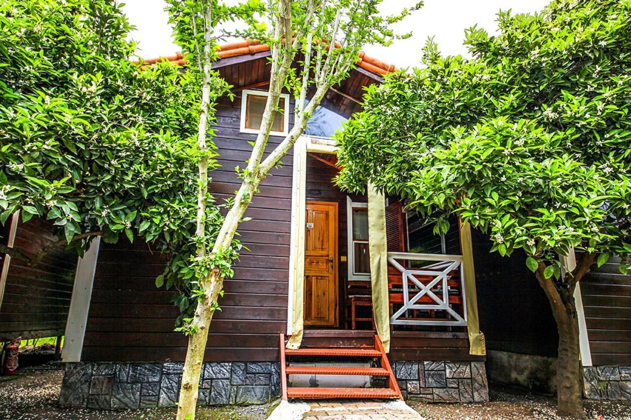 Three Islands Bed & Breakfast Cirali