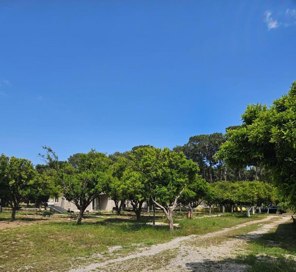 Campsite Orange Camp Beldibi (Kemer)