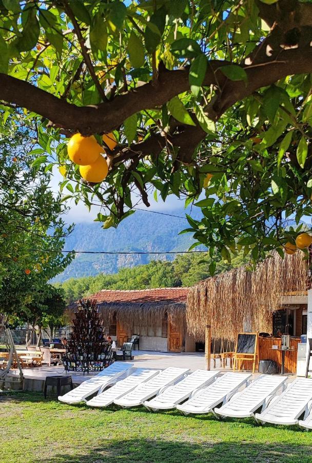 Orange Camp 3* Beldibi (Kemer)