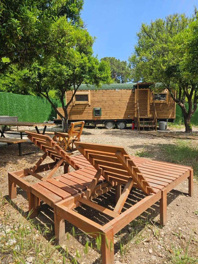 Orange Camp