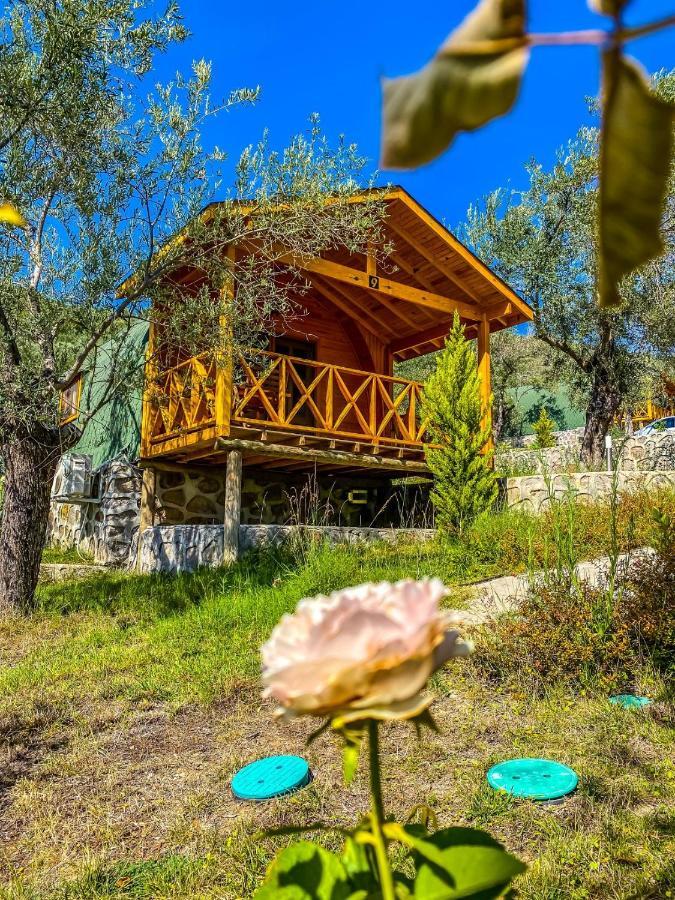 Kazdaglari Saglikli Yasam Koeyue Resort *
