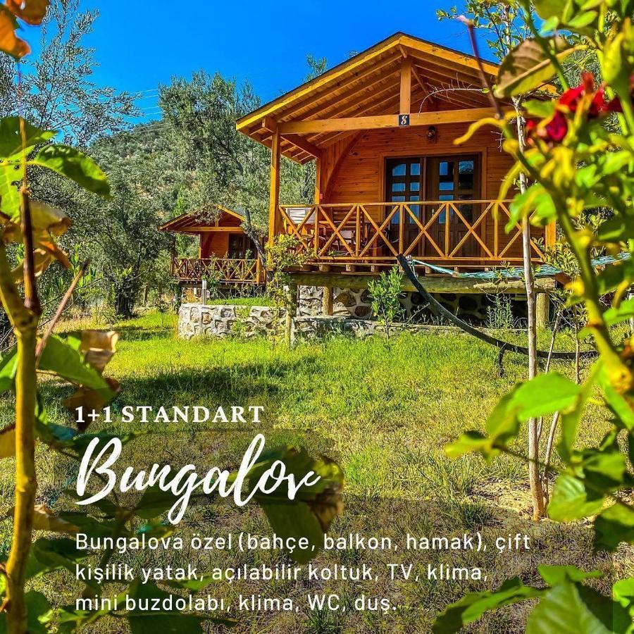 Kazdaglari Saglikli Yasam Koeyue Resort