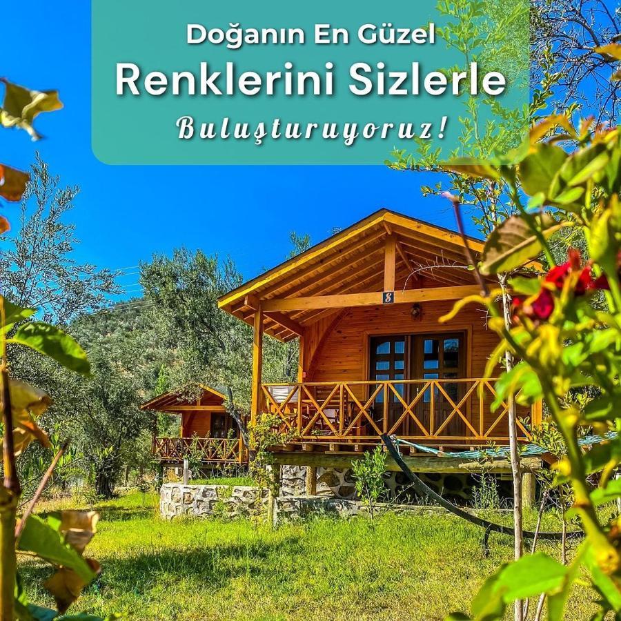 Resort Kazdaglari Saglikli Yasam Koeyue *