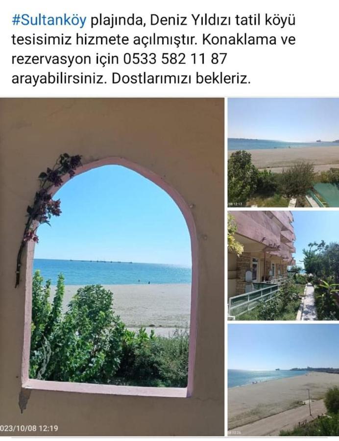 Deniz Yildizi