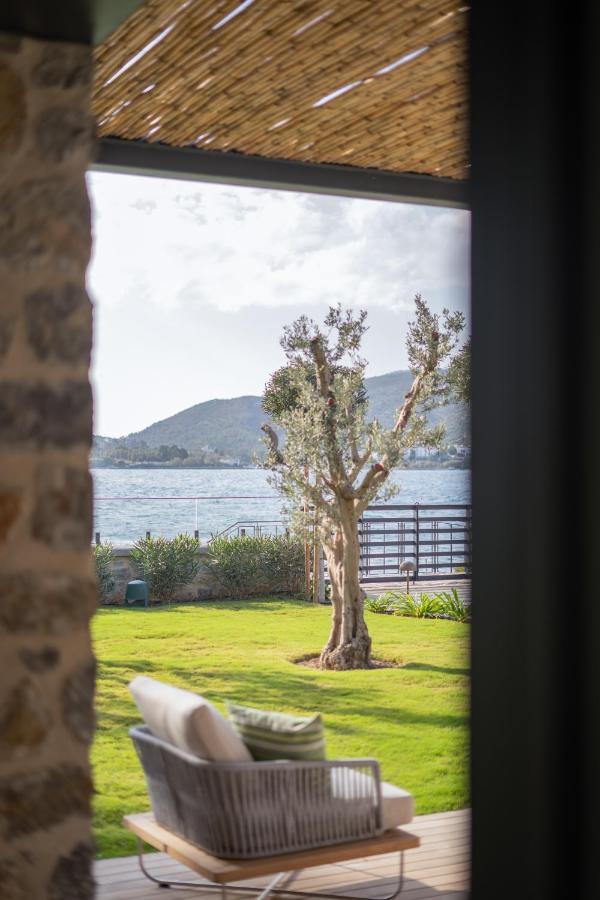 Palaia Hotel