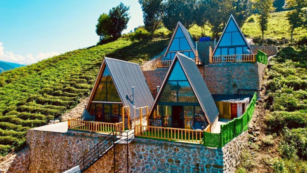 Dogal Bed & Breakfast *