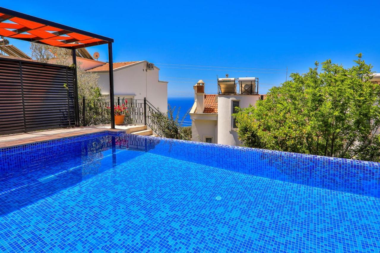 Celik * Kalkan