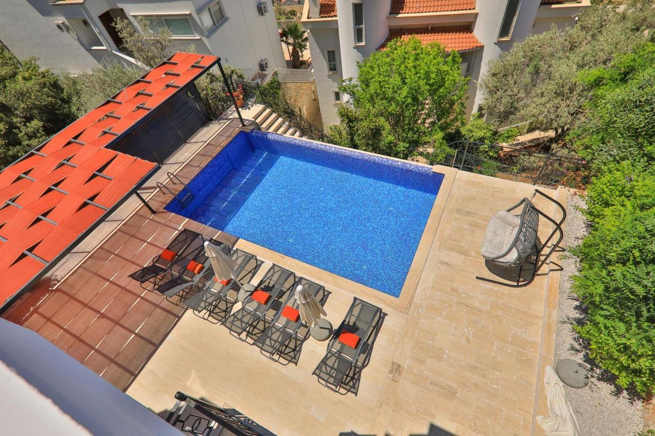 Celik Kalkan