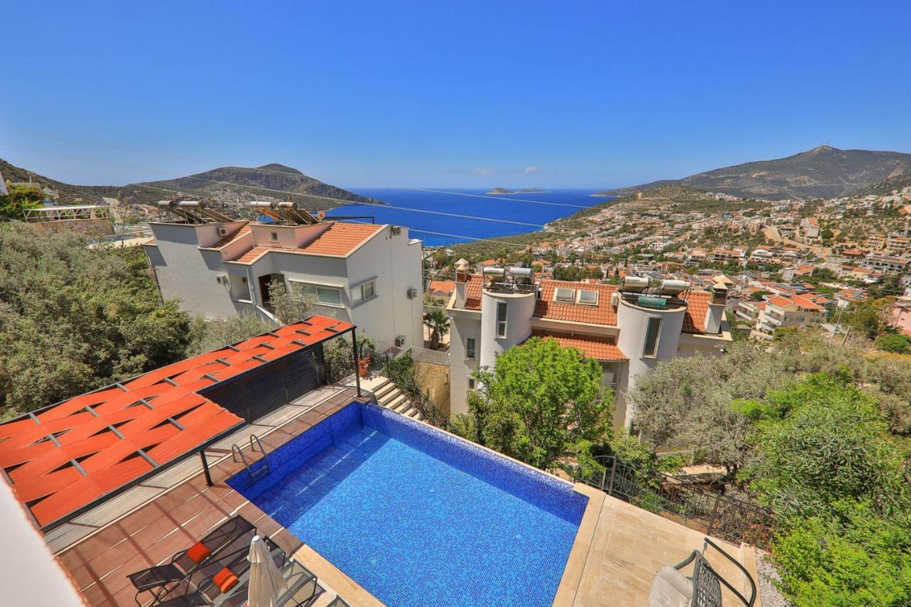 Celik * Kalkan