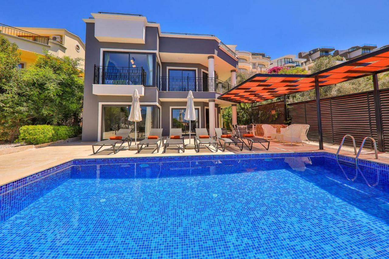 Celik Villa *