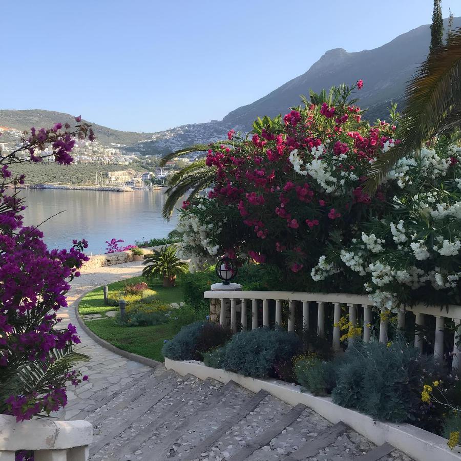 Patara & - Special Category 3* Kalkan