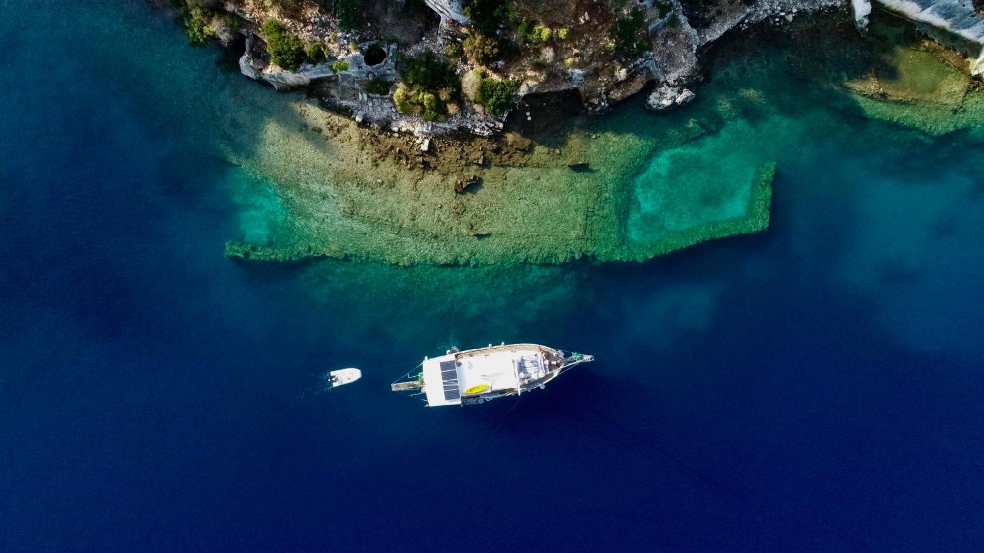 Blue Cruise *