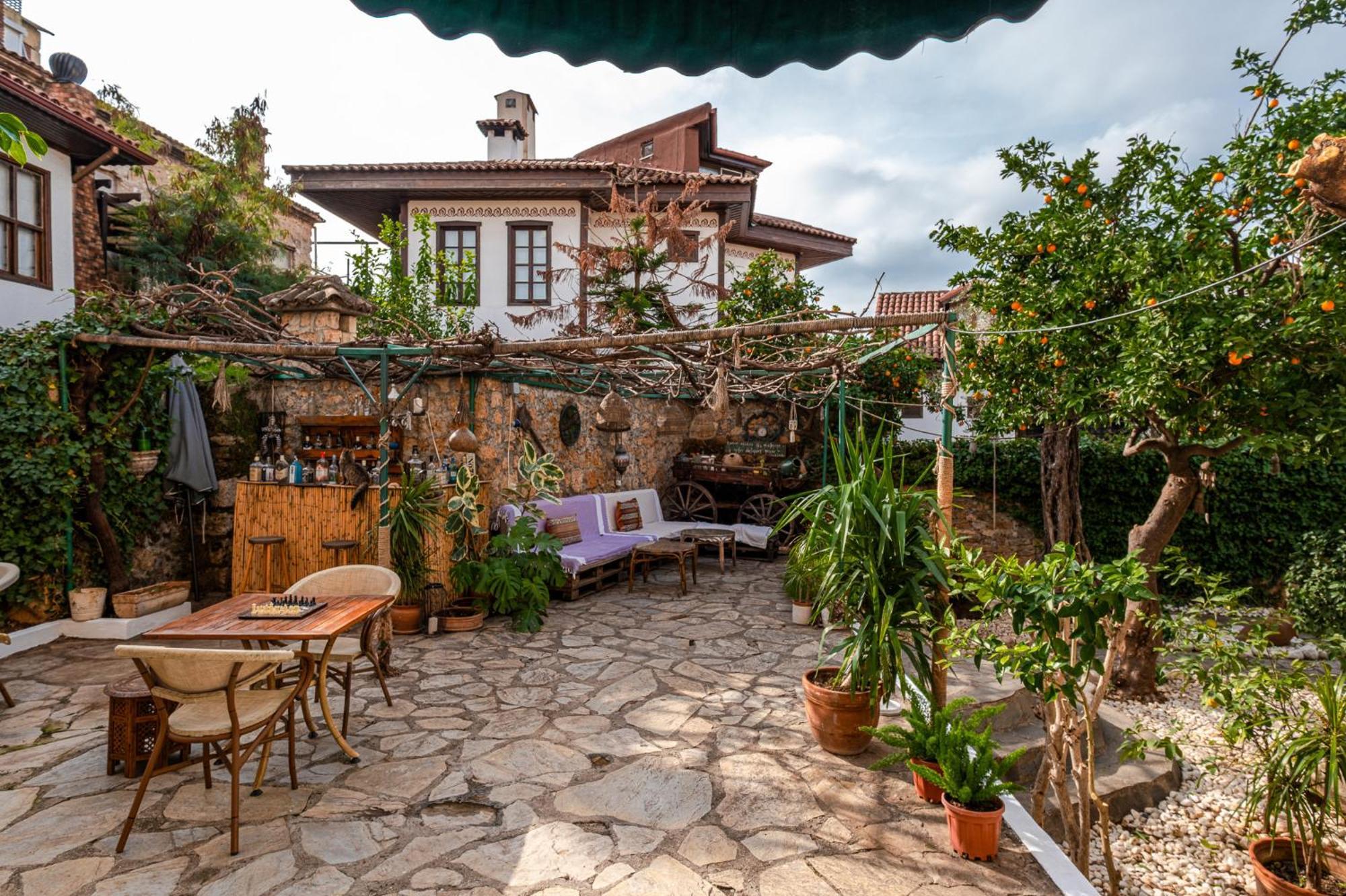 Hotel Tulipan