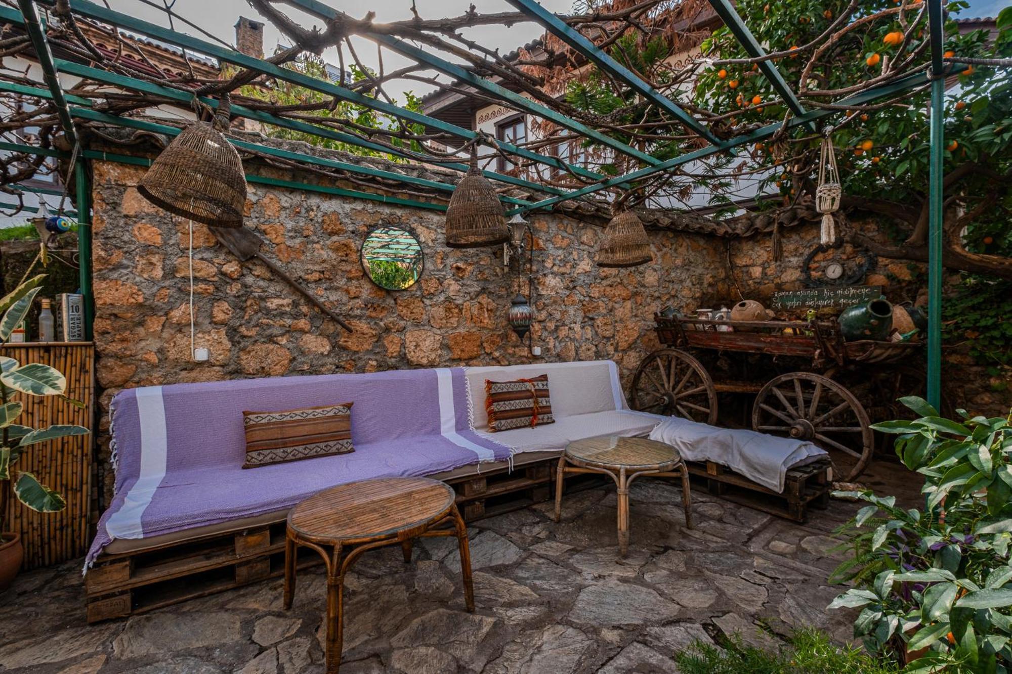 Hotel Tulipan