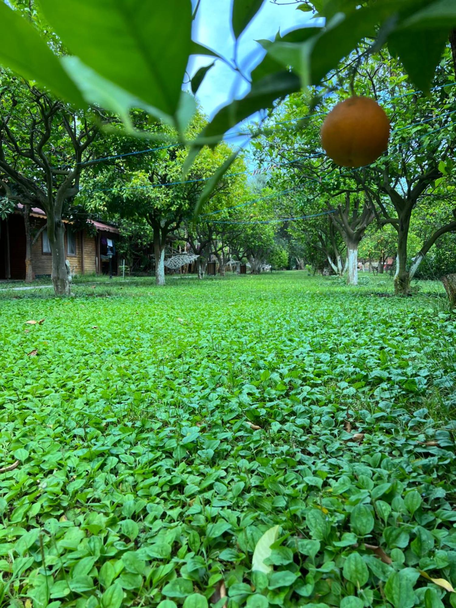 Myland Nature Holiday park 2*