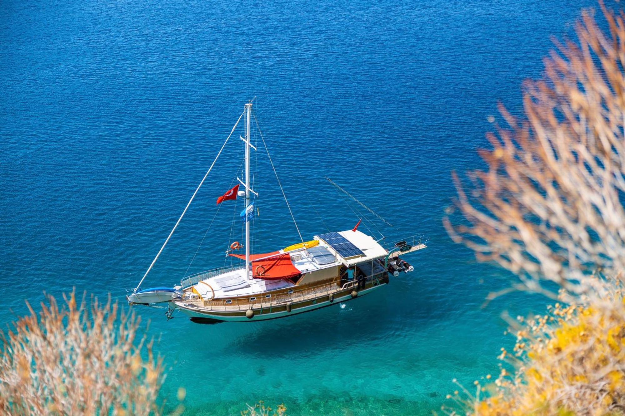 Blue Cruise