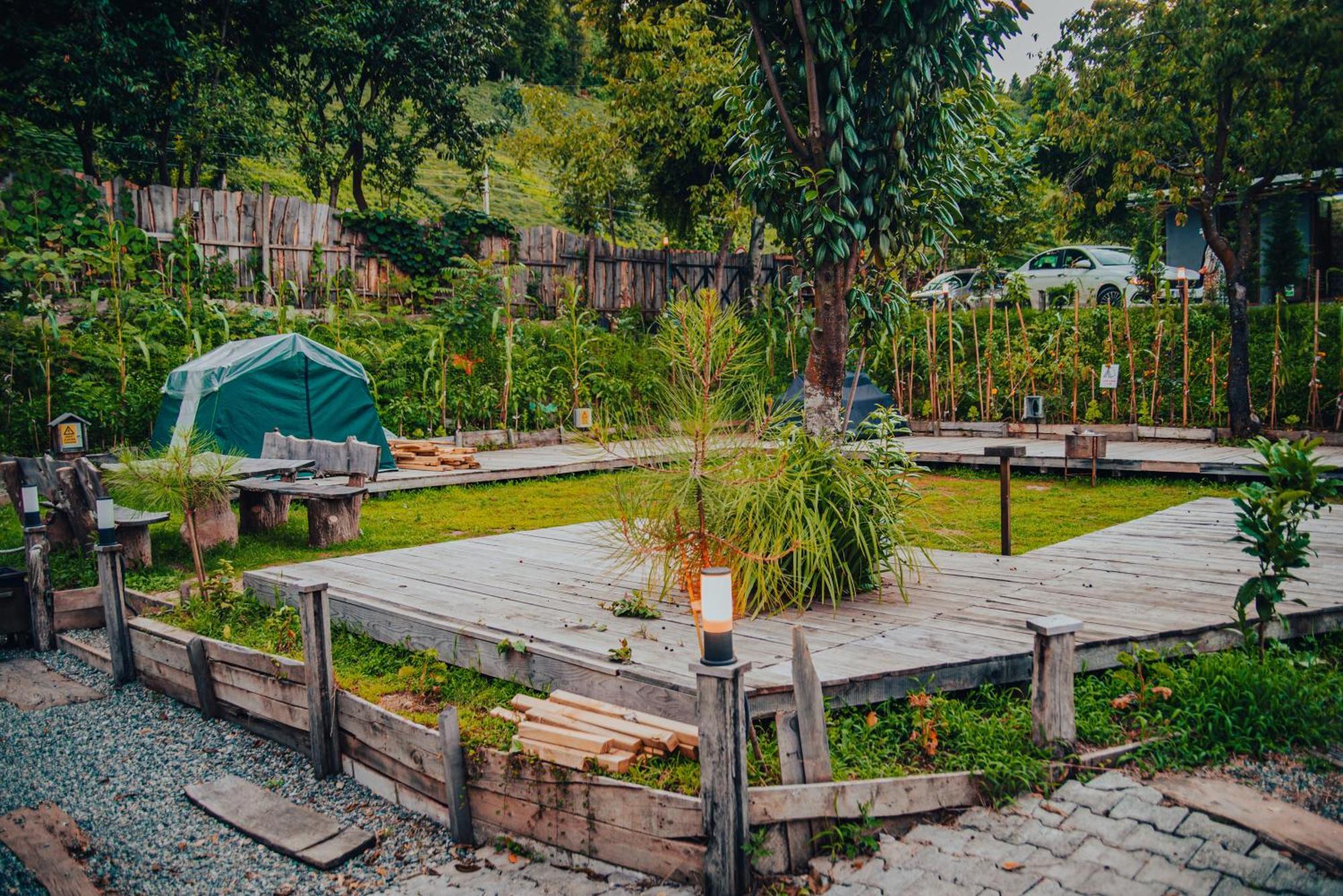 Danzi Tiny House Campsite Rize
