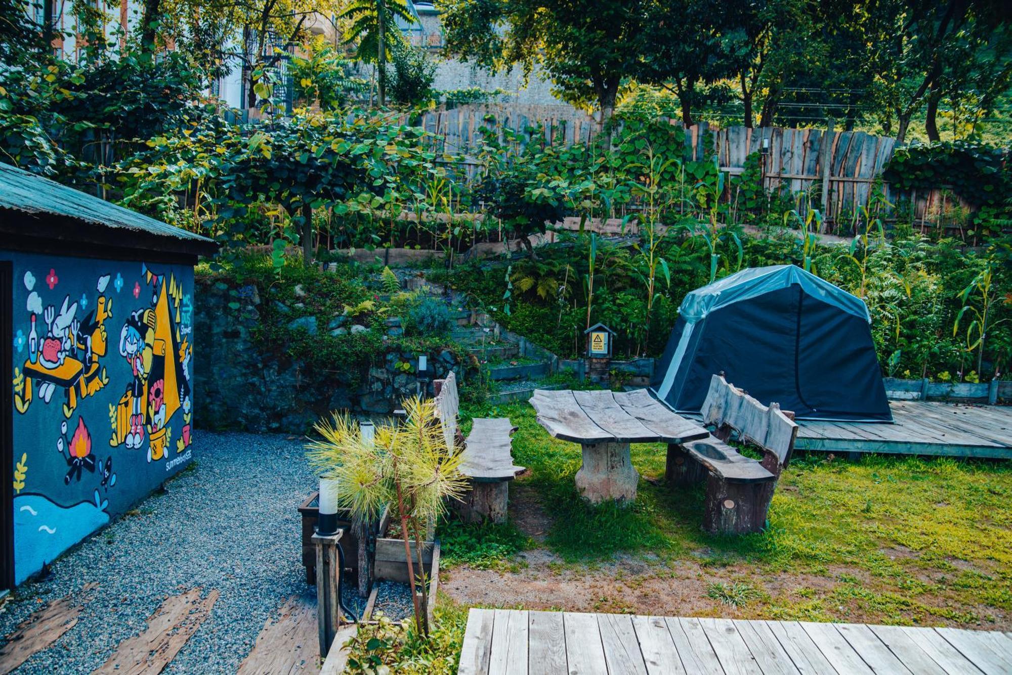 Danzi Tiny House Campsite Rize