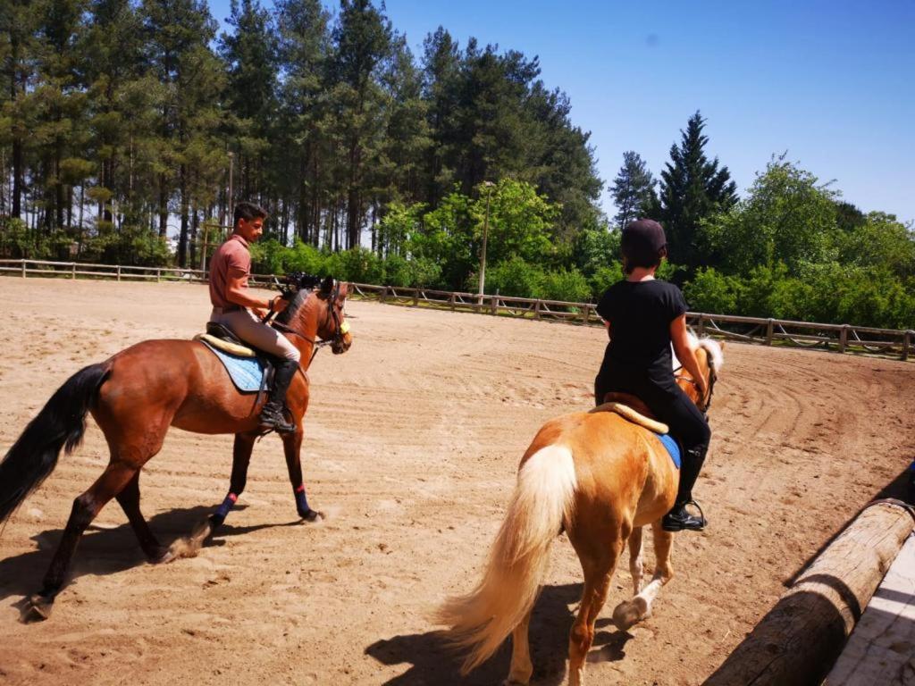 Royal In Forest 3 * Dosemealti