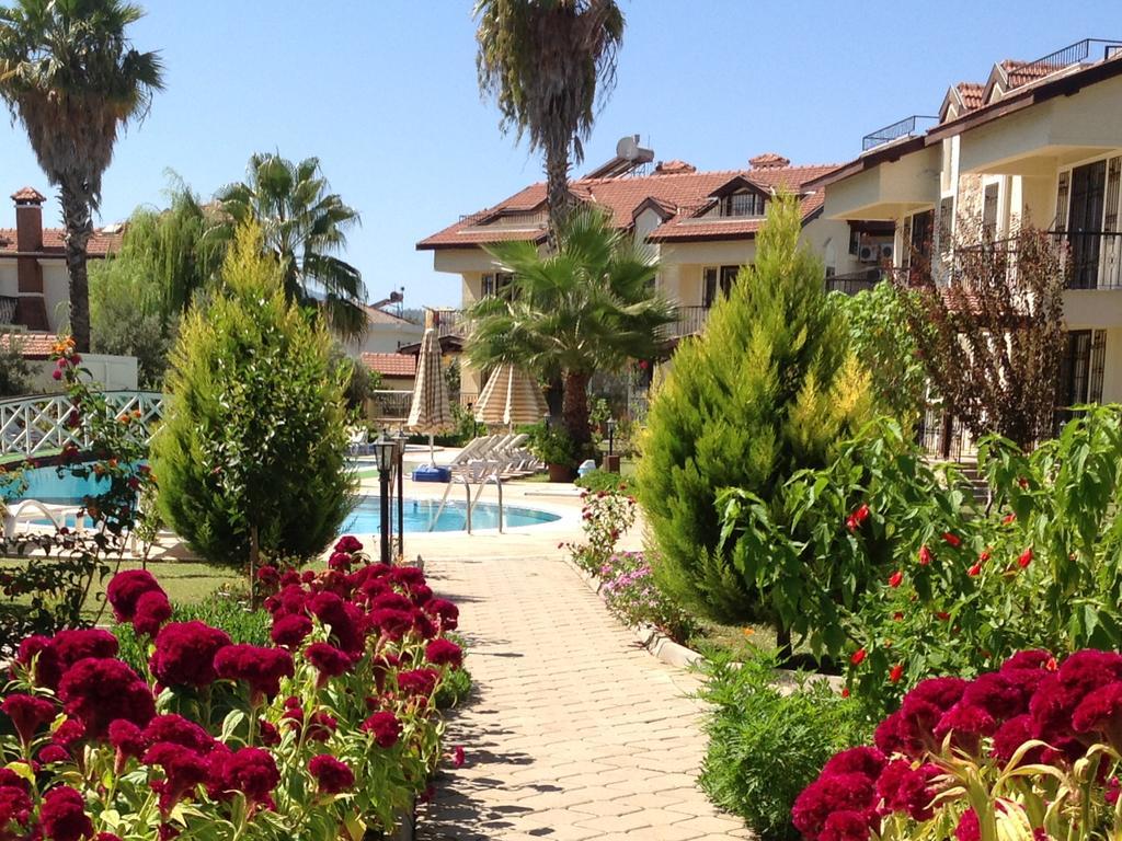 Lale Fethiye