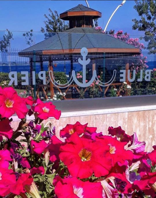 Blue Pier Hotel *