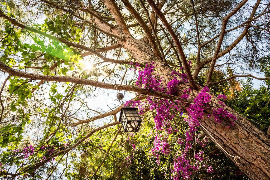 Campsite Secret Garden &