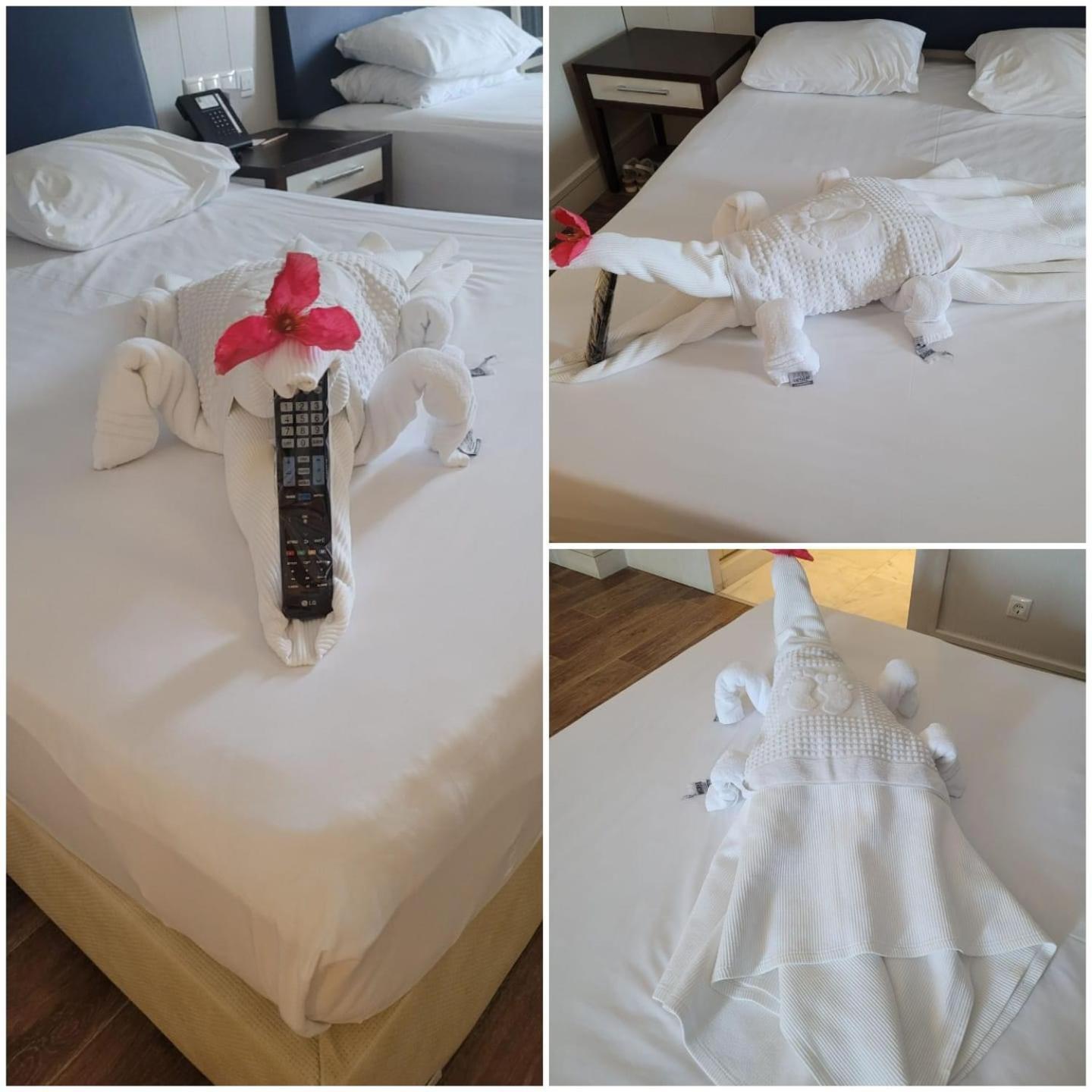 Club Grand Hotel 5*