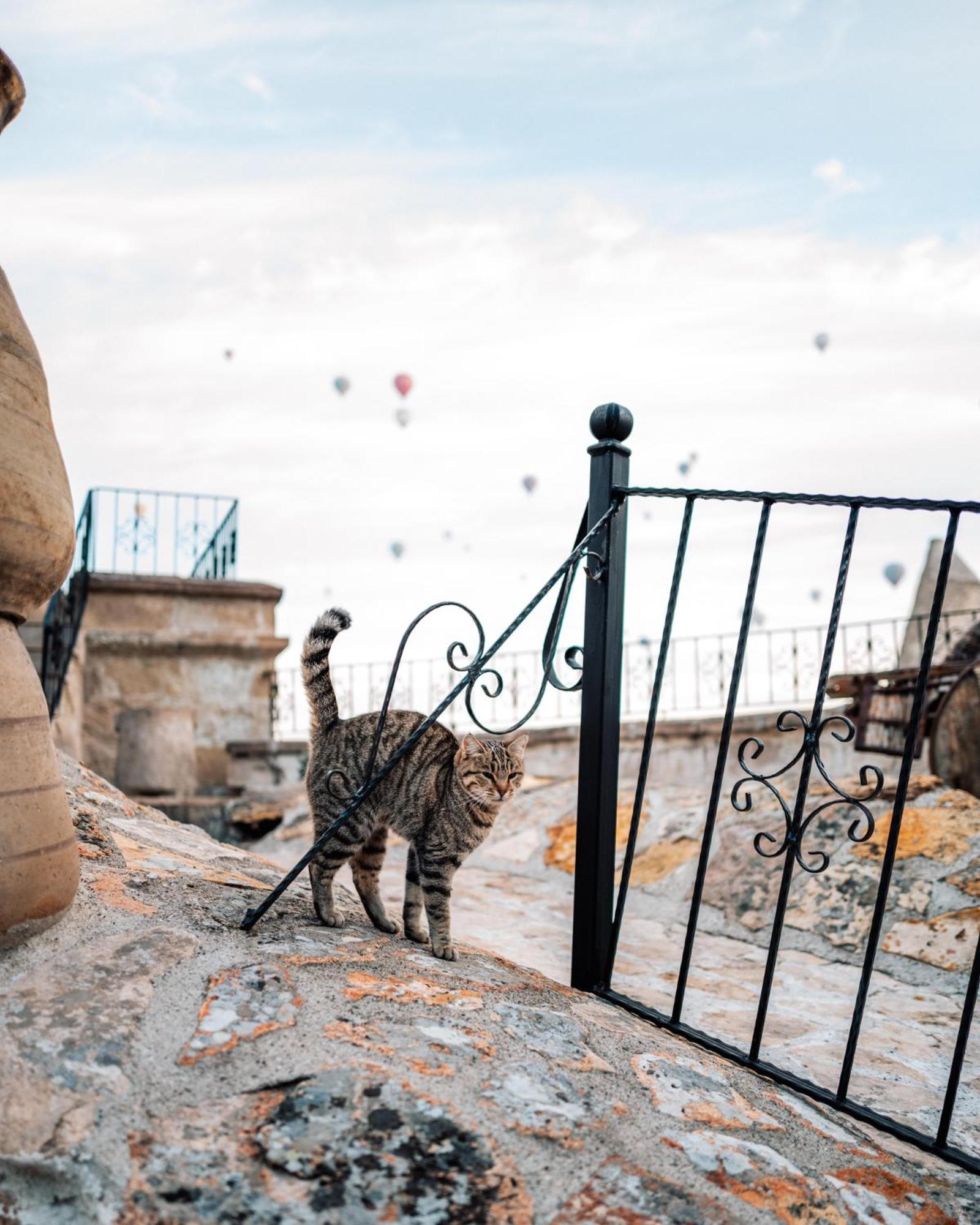 Hotel Cappadocia Cave Adult Only Goreme