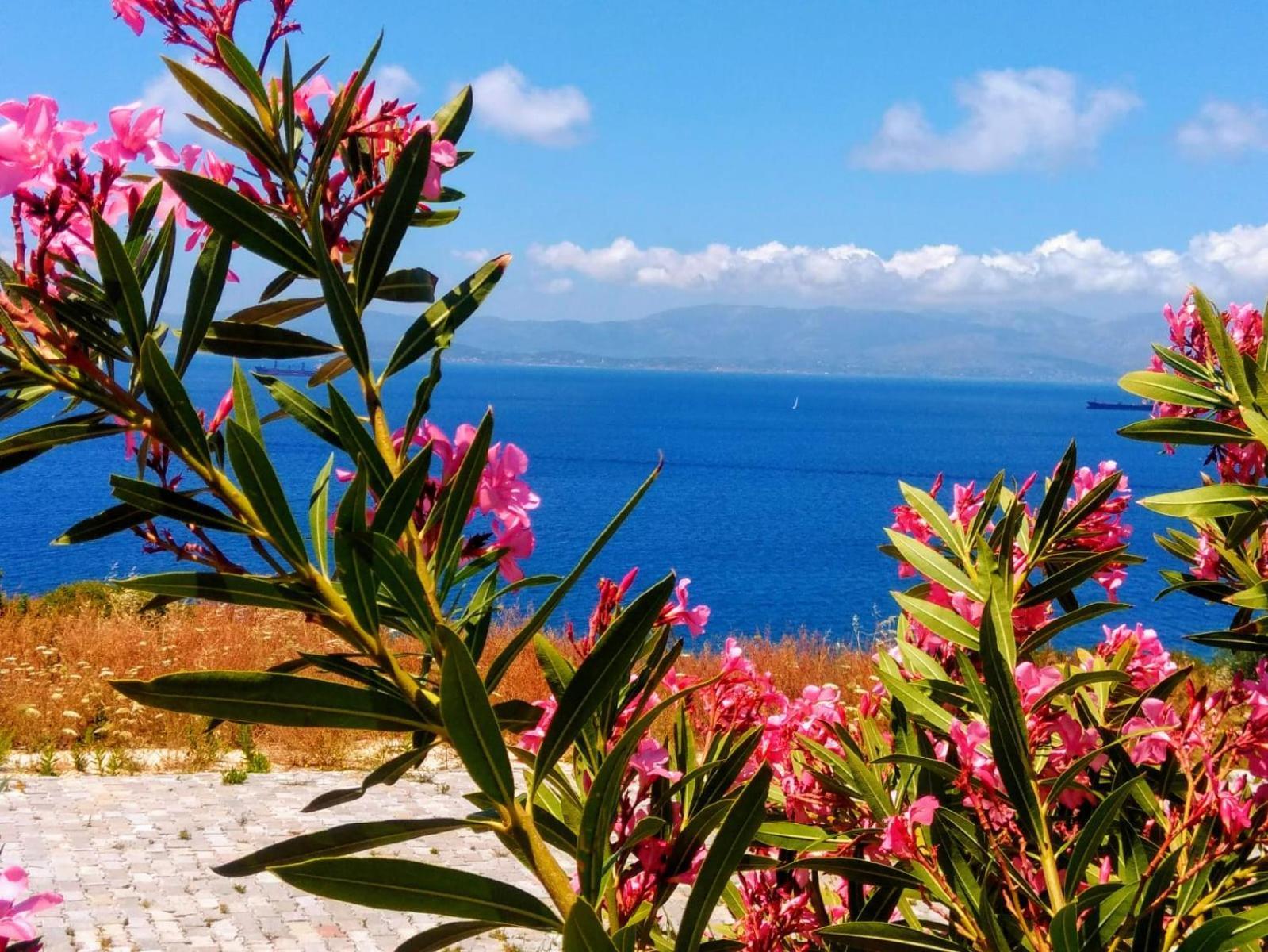 Villa Mavi Panorama Cesme