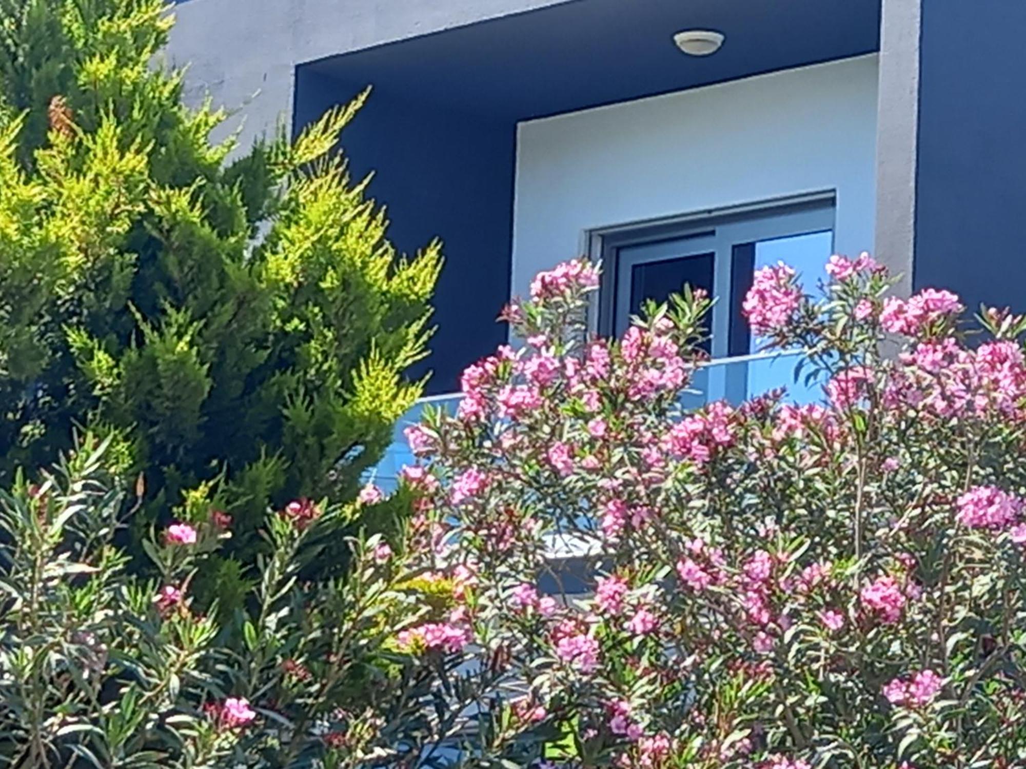 Mavi Panorama Villa Cesme
