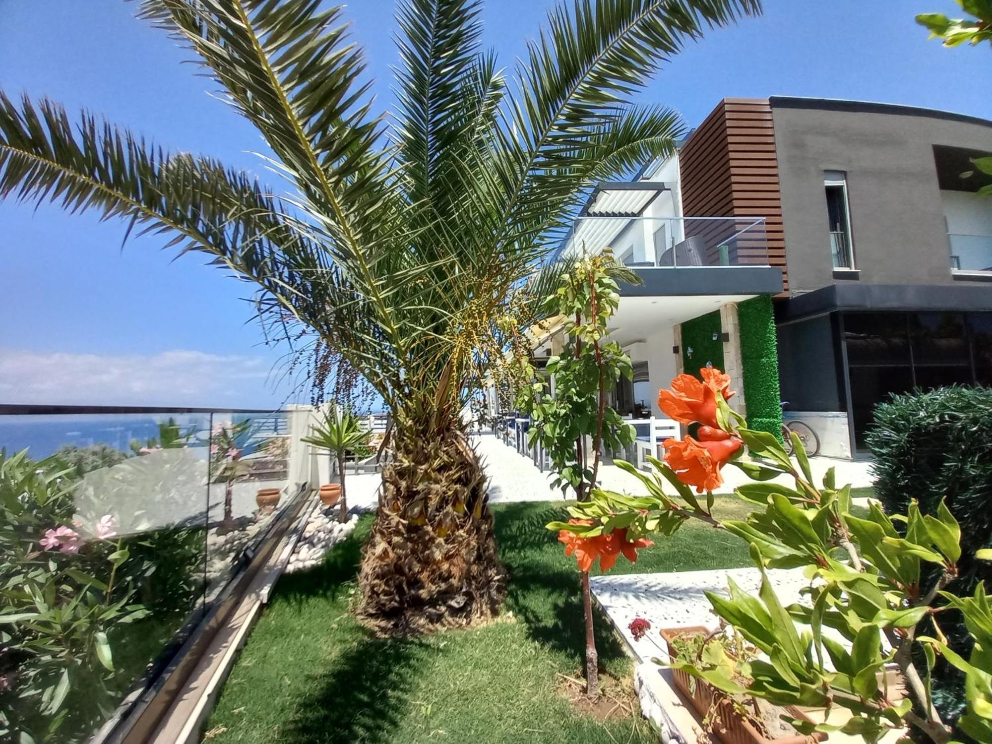Villa Mavi Panorama Cesme