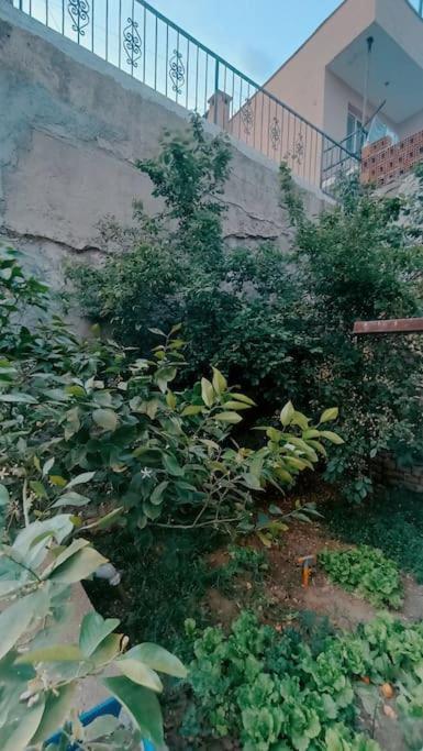 Deniz Manzarali Muestakil Ev Aybalik Apartment