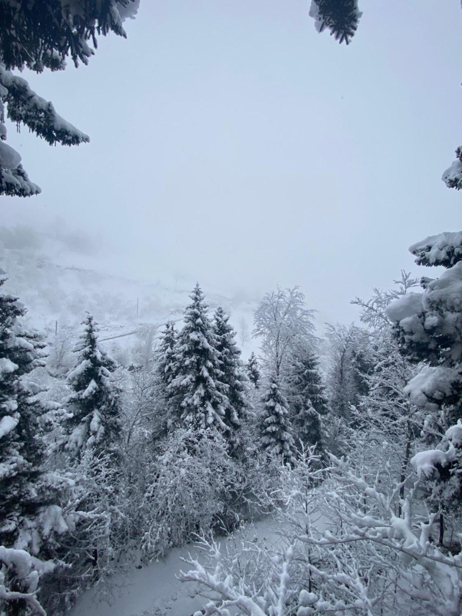 Montana *