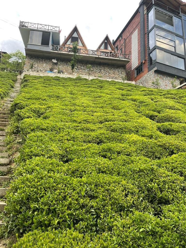 Purkinora Bungalov Camlihemsin