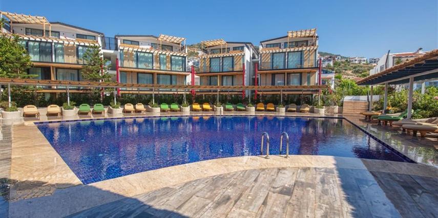 Asfiya Loft *