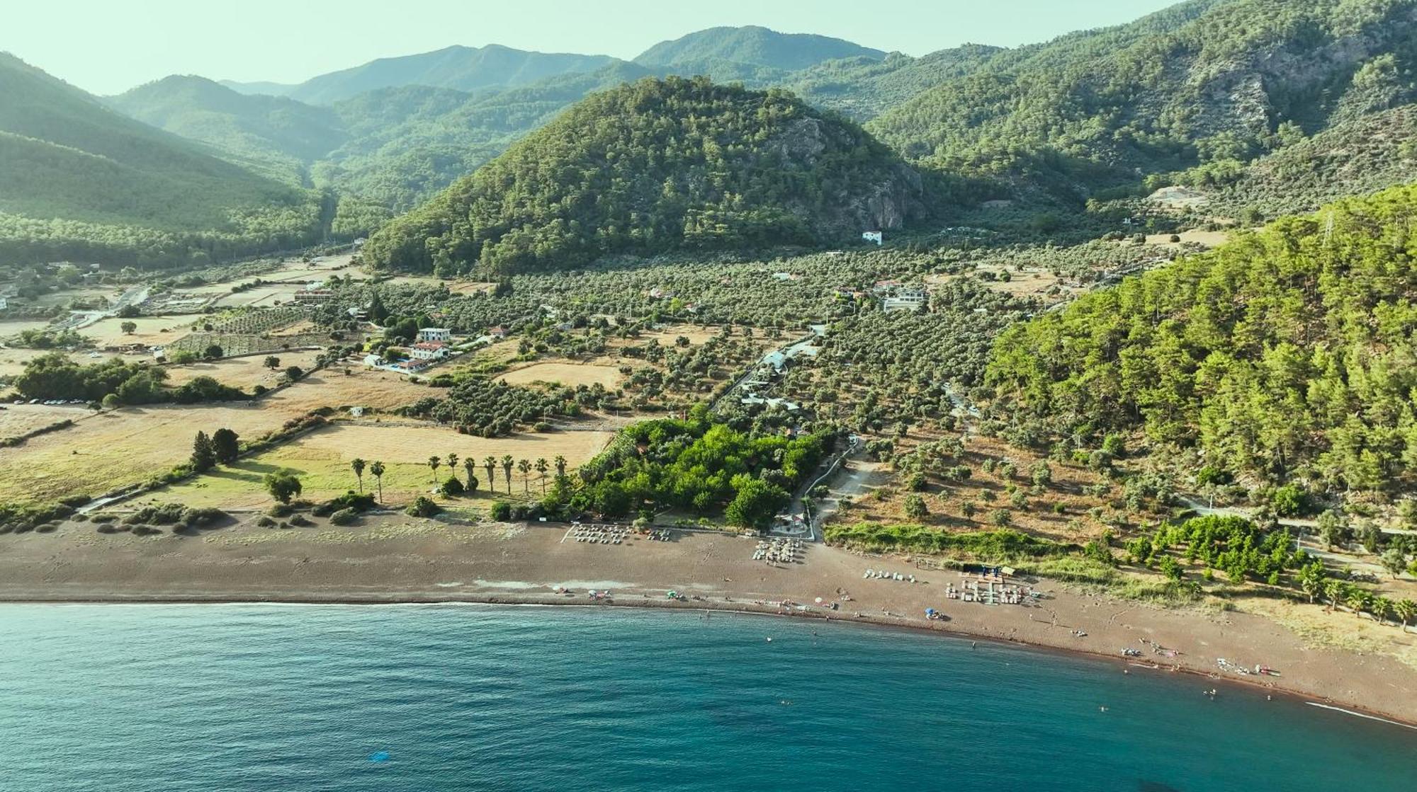 Resort Eden And Beach *