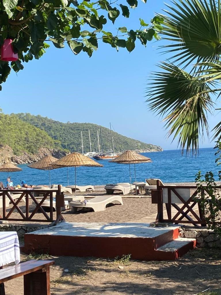 Resort Eden And Beach *