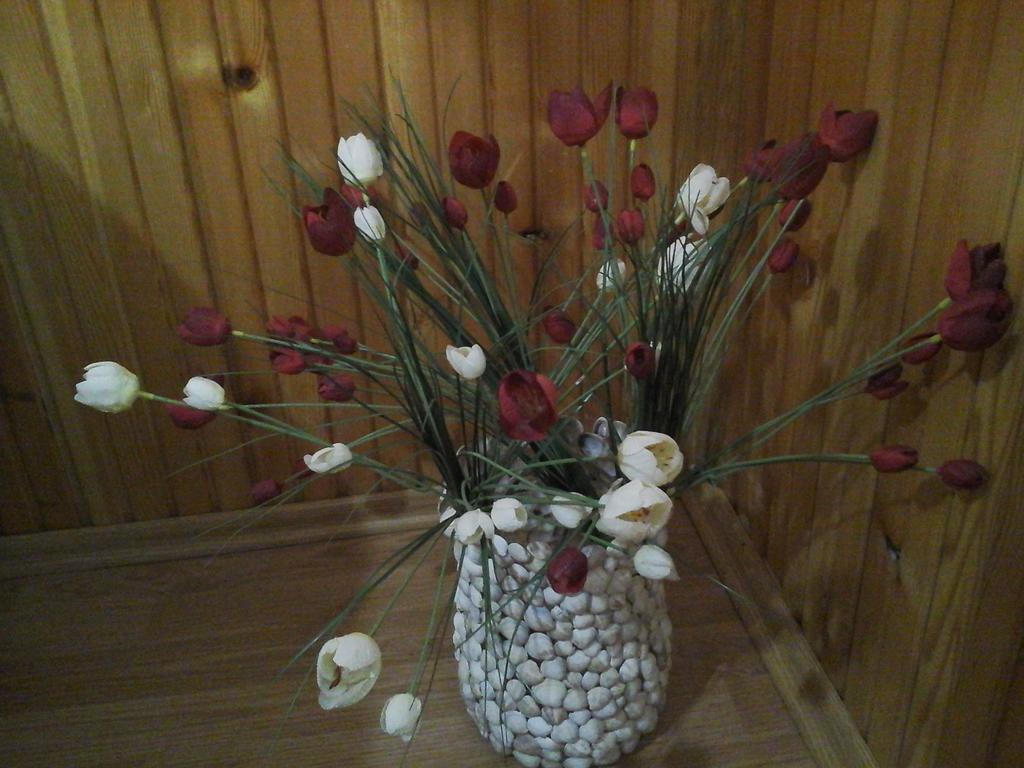 Vi̇ra Bungalow Holiday home *
