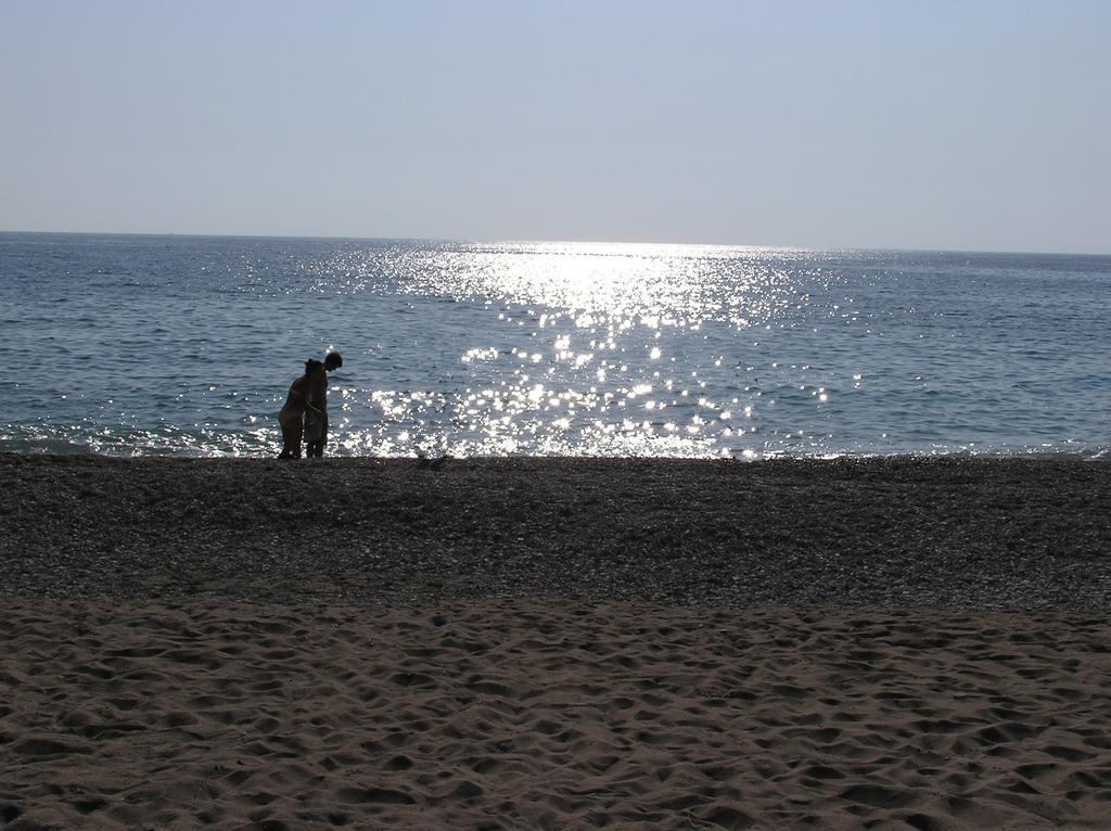 Kabak Avalon