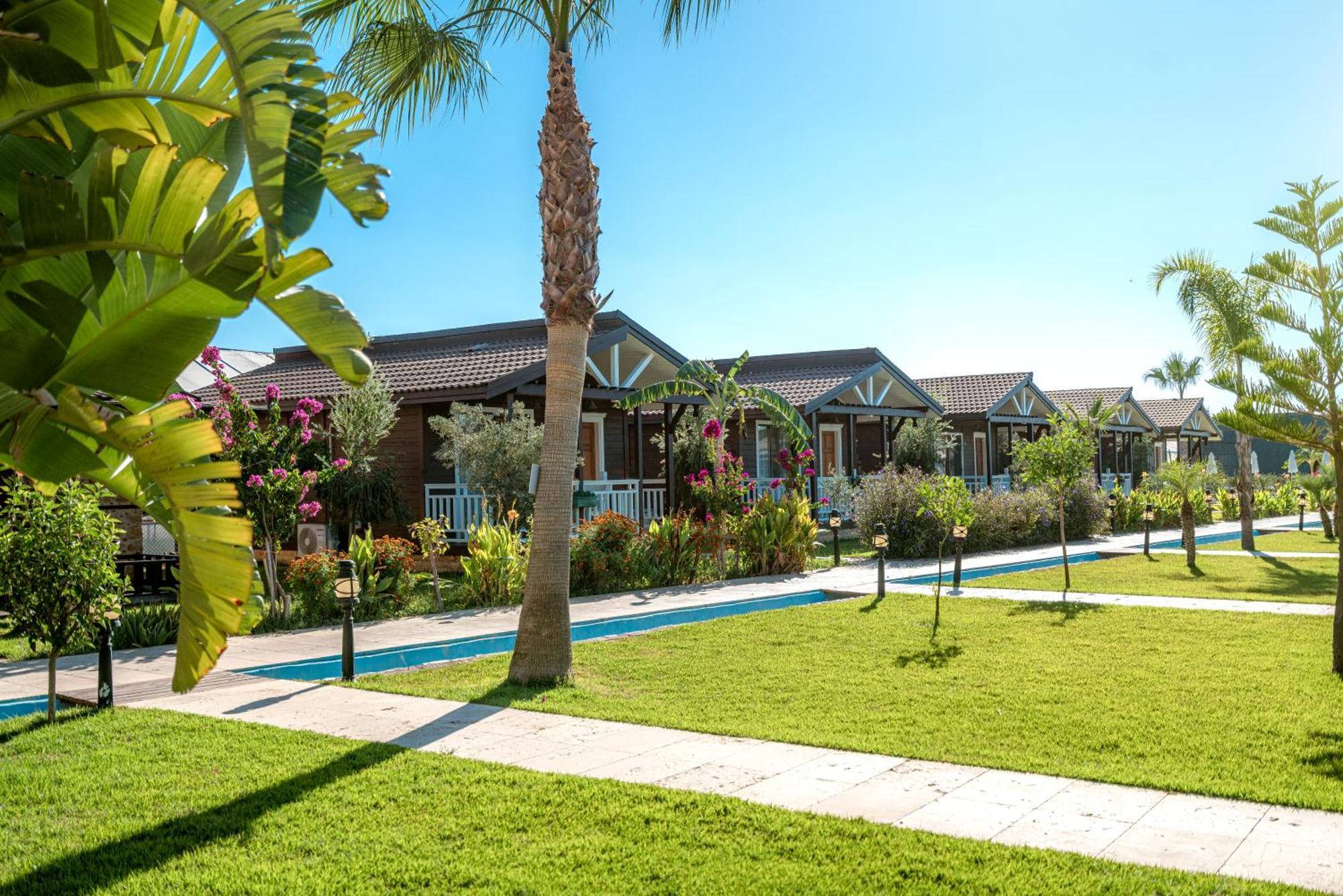 Sedir Park -