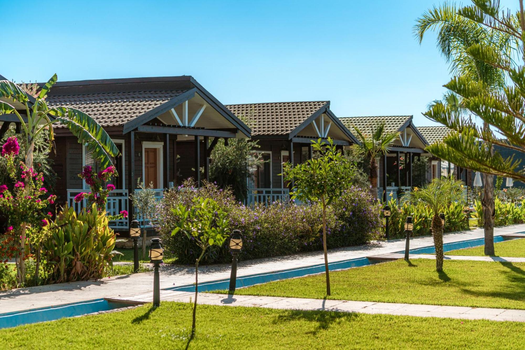 Sedir Park -