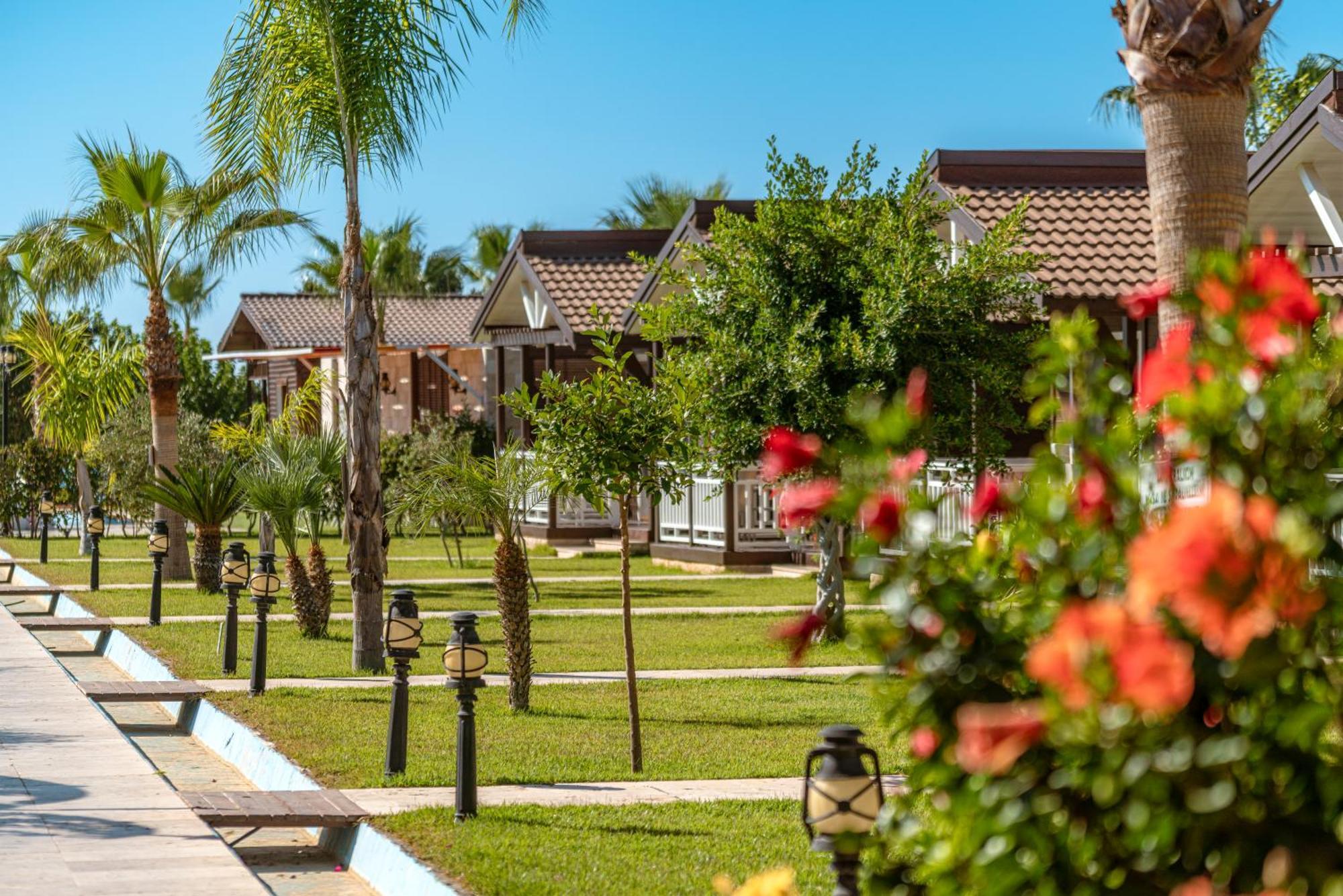 Bed & Breakfast Sedir Park - Kargicak (Alanya)