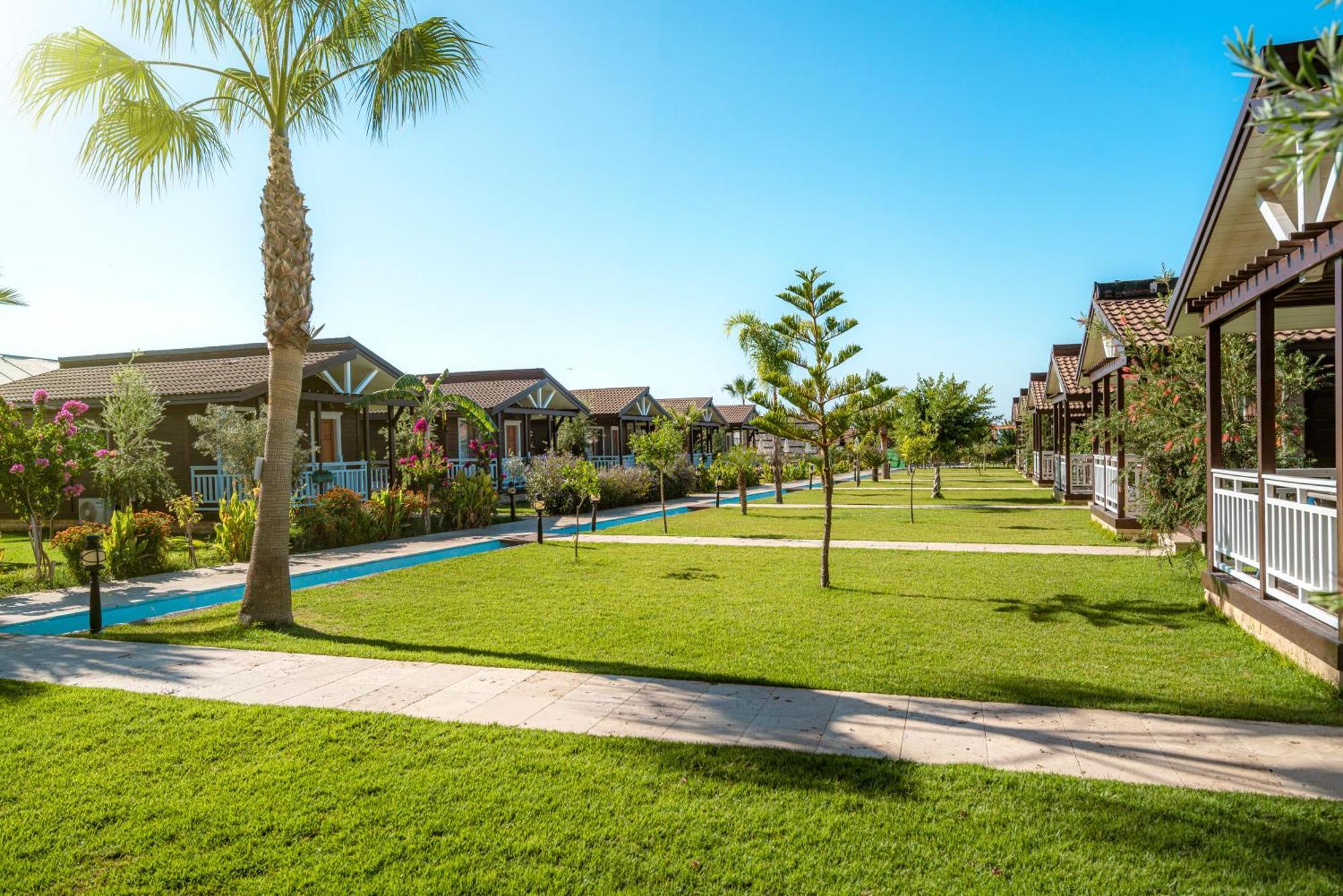Sedir Park -
