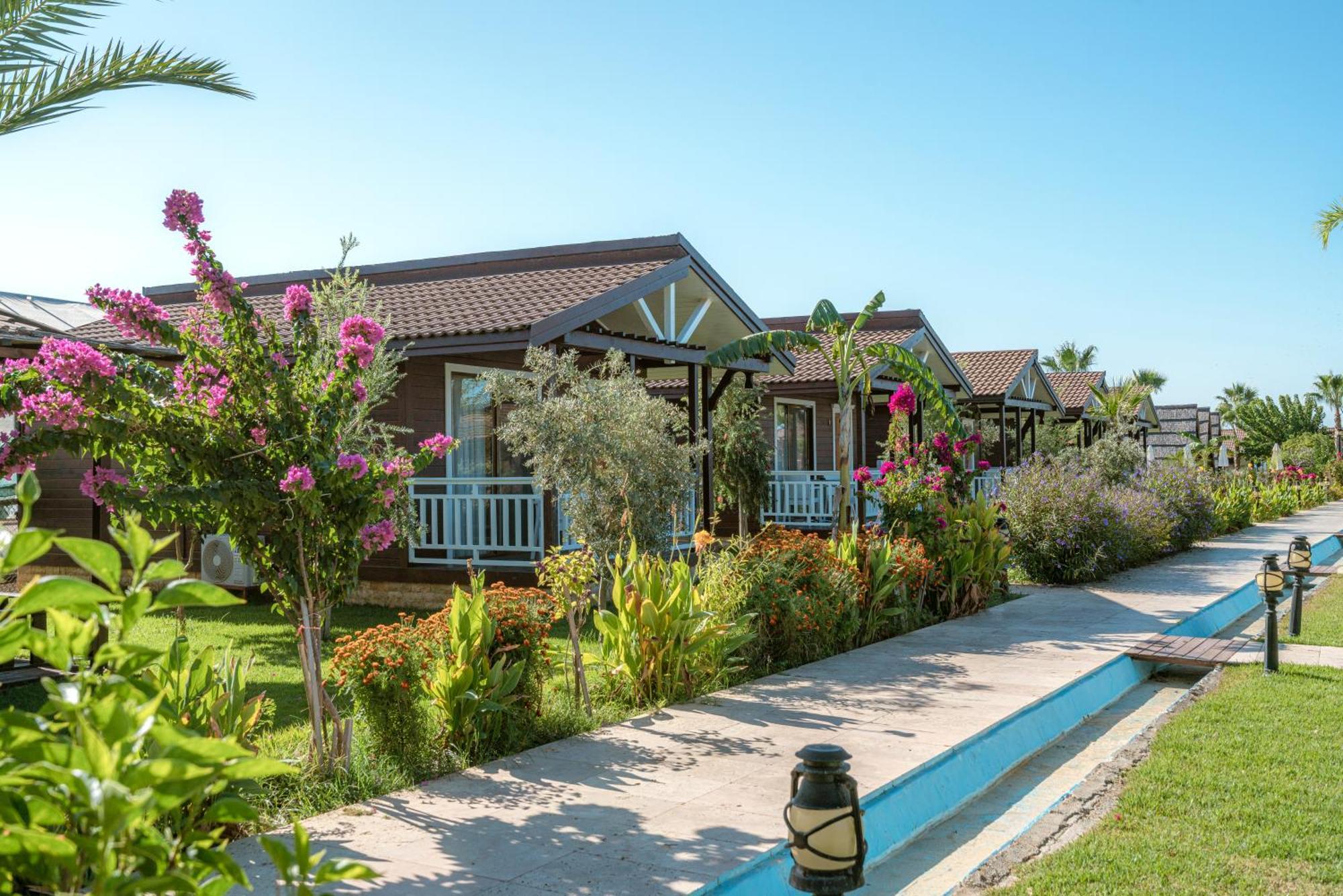 Sedir Park - Bed & Breakfast Kargicak (Alanya)